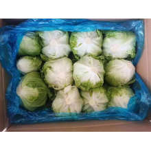 Round Fresh Iceberg Lettuce Fresh Lettuce with Gap Certificate Supplier From China